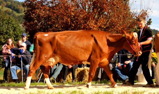 DSC03663 