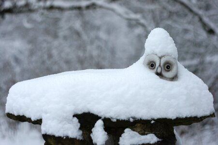 Snowy owl white decoration