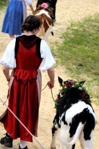 IMG_5778 (2) 