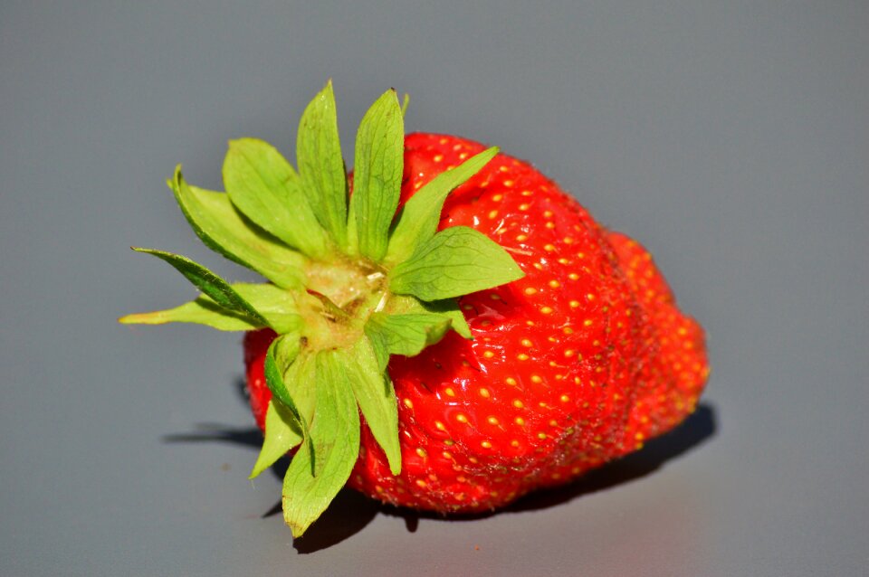 Berries fruits sweet