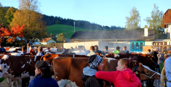 DSC03378 