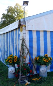 DSC03303 