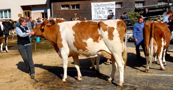 DSC03090 