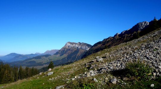 DSC09666 