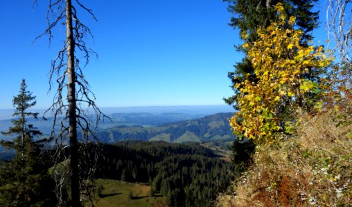 DSC09659 
