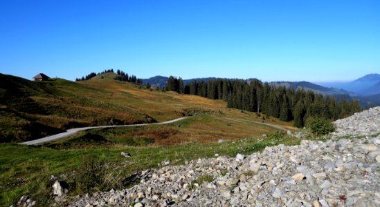 DSC09665 