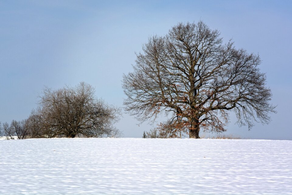 Silhouette wintry cold
