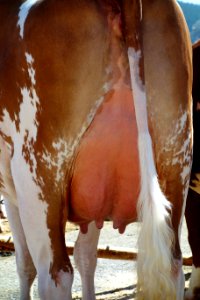 DSC00608 