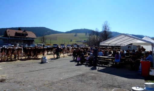 DSC00601 