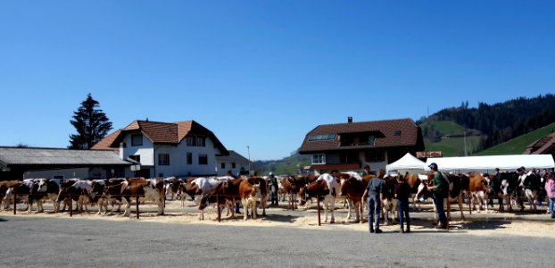 DSC00592 
