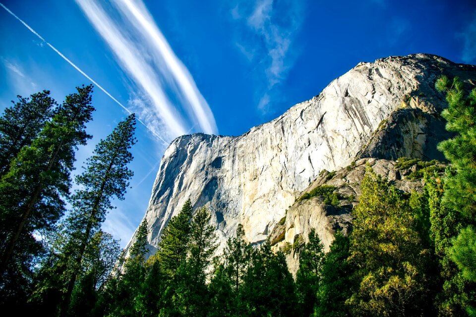 Mountains cliff forest