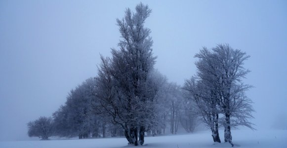 DSC00290 