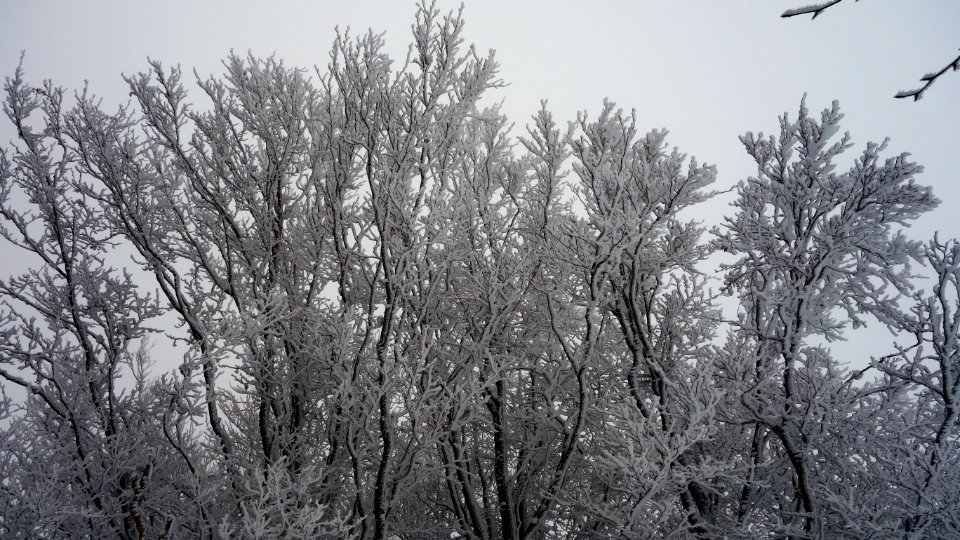 DSC00285 