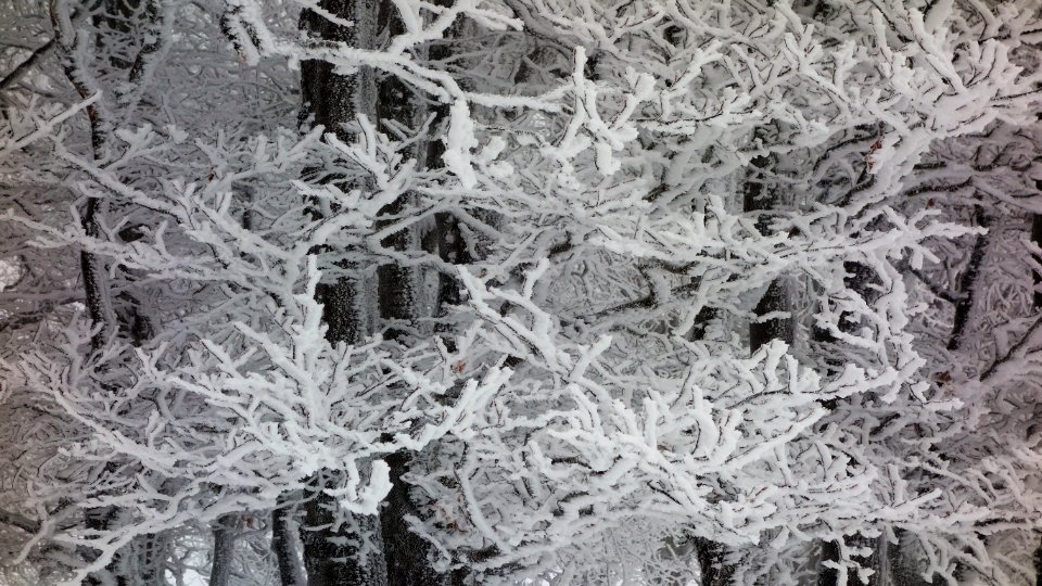DSC00284 