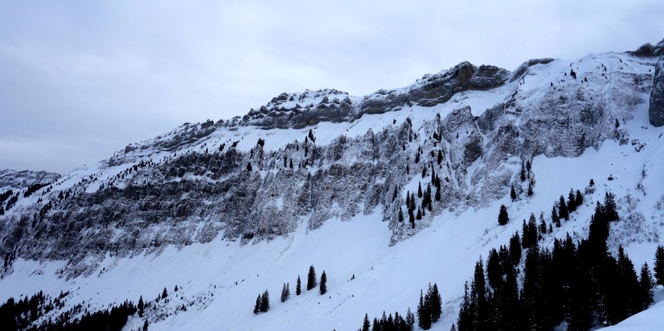 DSC00182 