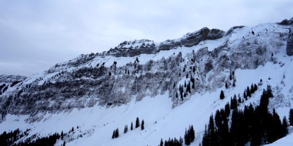 DSC00182 