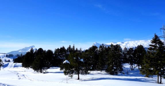 DSC00226 