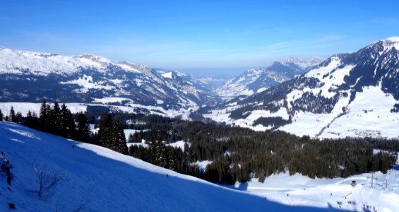 DSC00200 