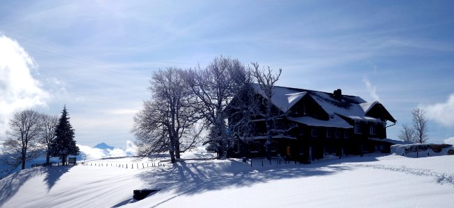 DSC00248 