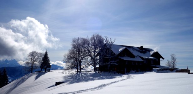 DSC00246 