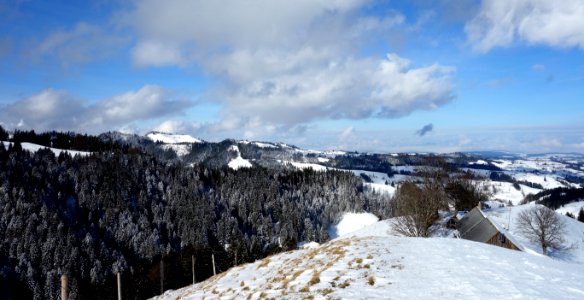 DSC00237 