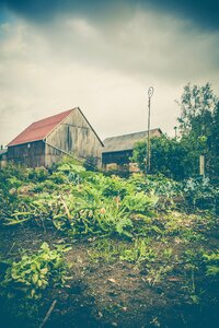Garden houses vegetables