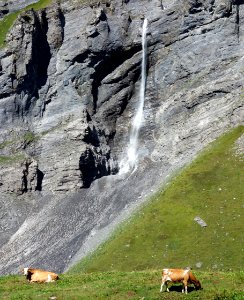 DSC06579 
