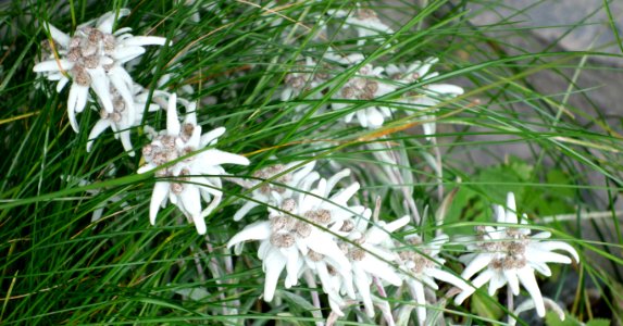 DSC06360 