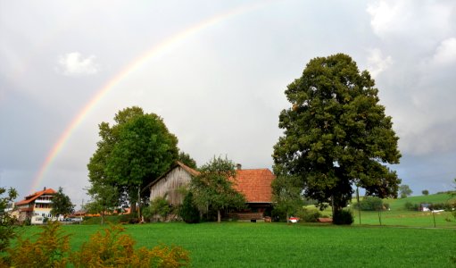 DSC06325 