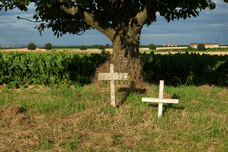 Cemetery commemorate silent
