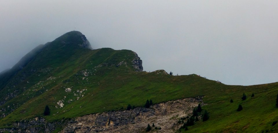 DSC05957 