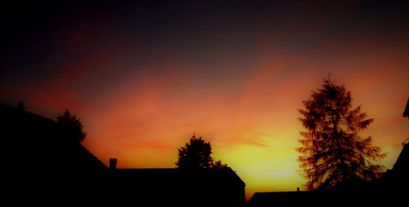 DSC07156 