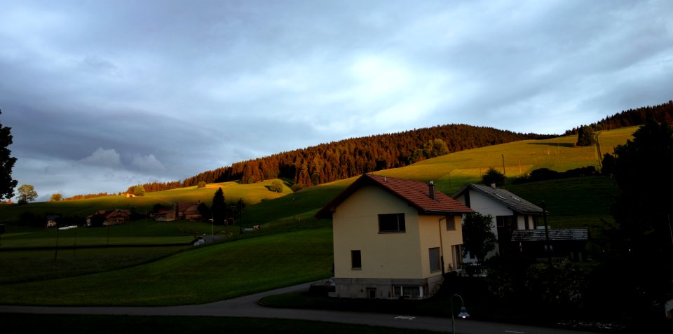 DSC05131 