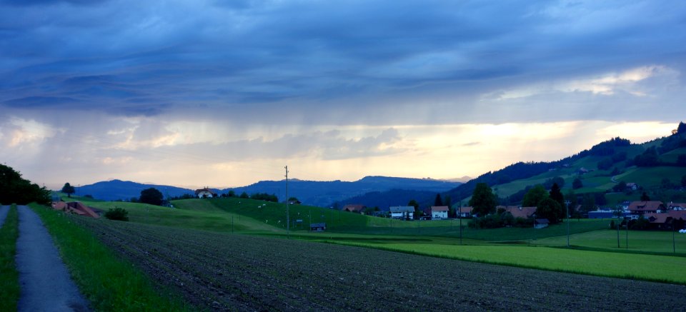 DSC05130 