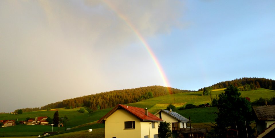 DSC05090 