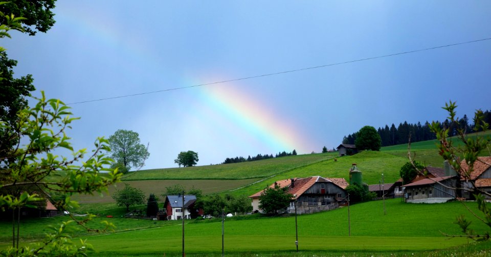 DSC05047 