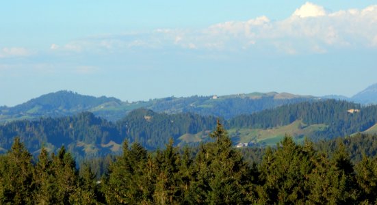 DSC05891 