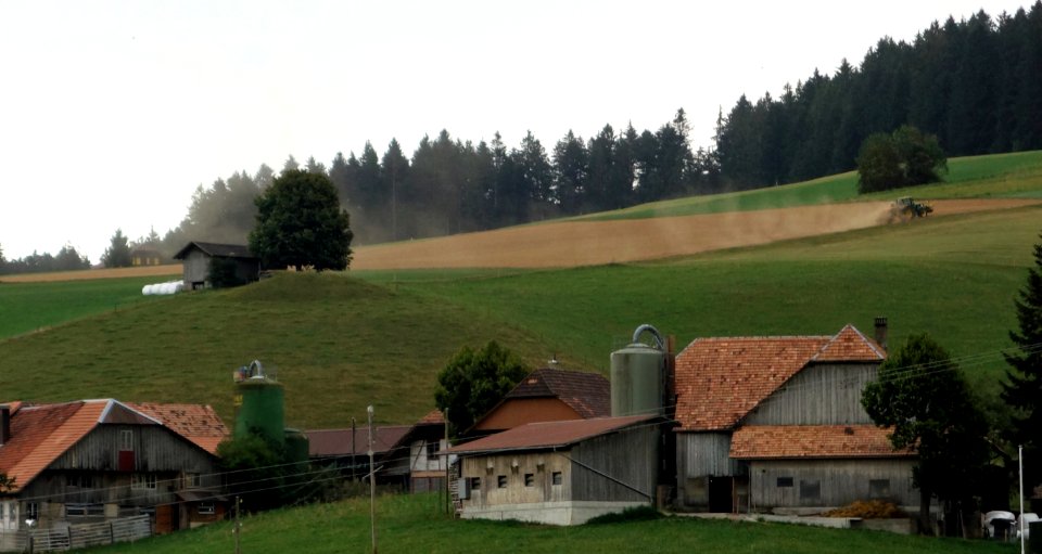 DSC05880 