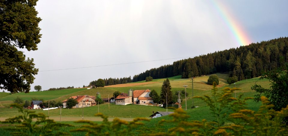 DSC05869 