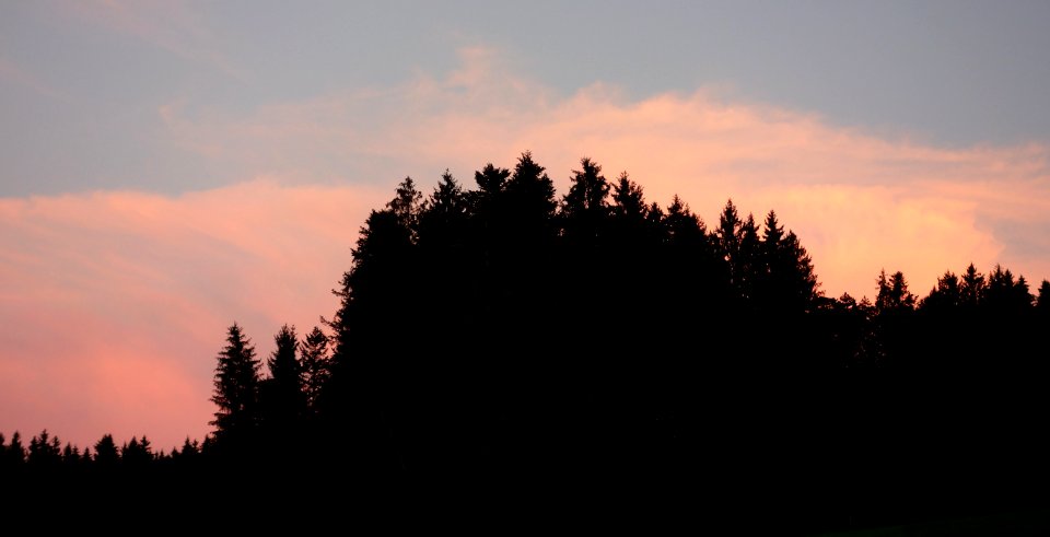 DSC05784 