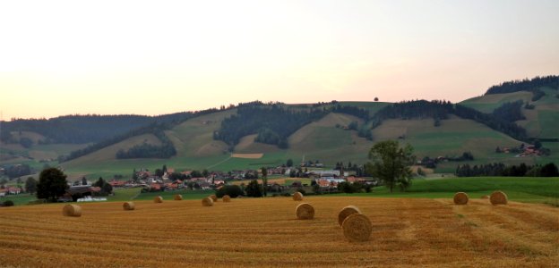 DSC05761 