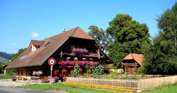 DSC05720 