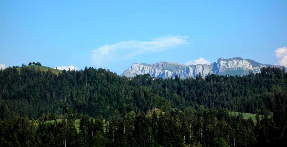 DSC05660 