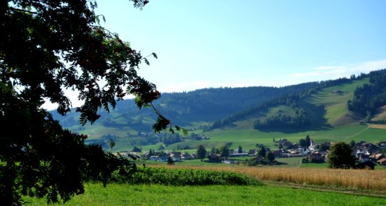 DSC05650 
