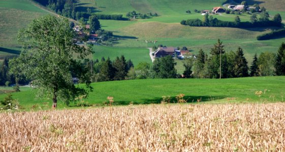 DSC05653 