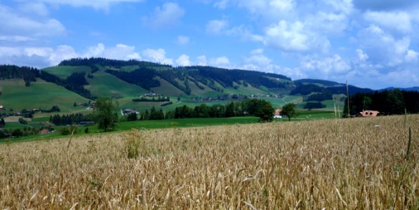 DSC05626 