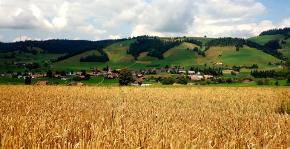 DSC05625 