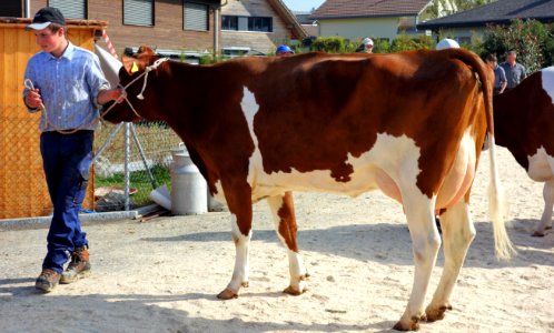 DSC09298 