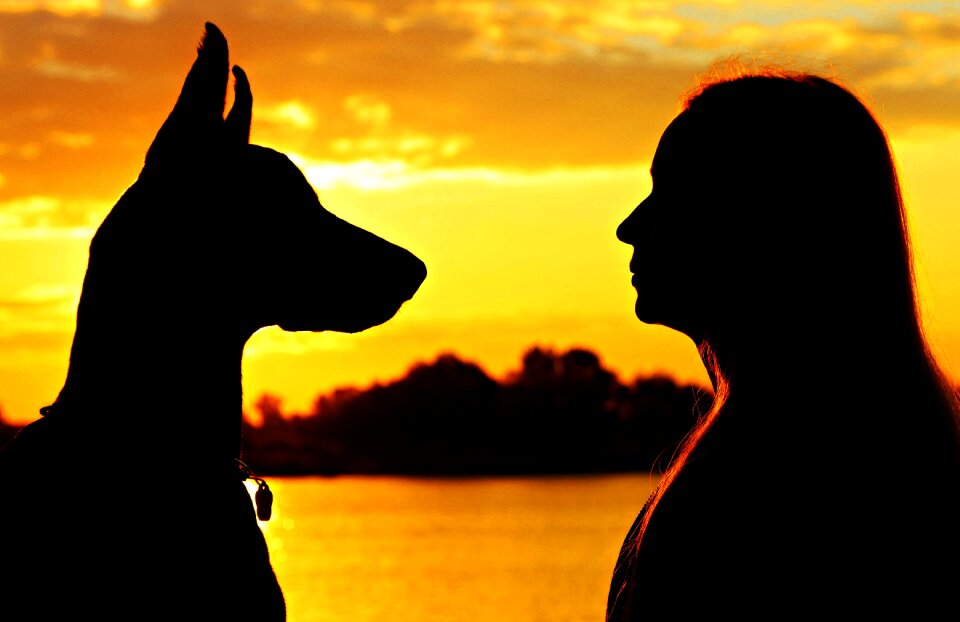 Silhouette sunrise love