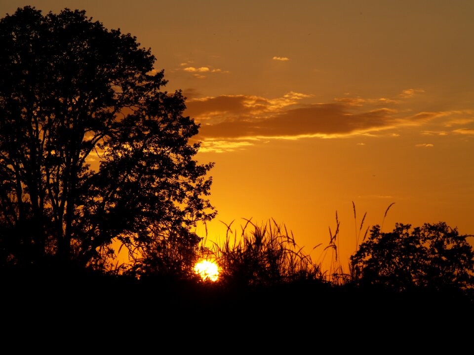 Sky nature sun photo